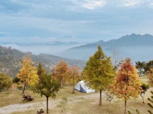 平日&週末 - A區 - 6~11帳包區