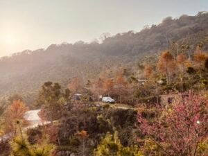 中秋連假 - C區 - 1~2帳包區