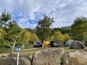 平日&週末 - D區 - 4~8帳包區