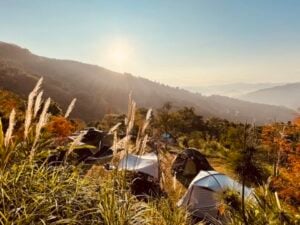 平日＆週末 - E區 - 2~3帳包區